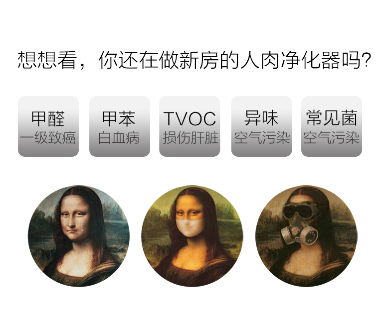 蓋銳甲醛魔方去除甲醛新房異味強力家用型清除劑裝修除味專利產(chǎn)品