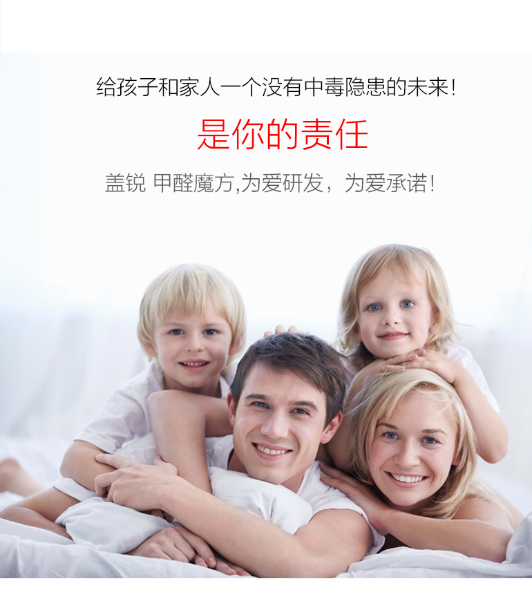 蓋銳甲醛魔方去除甲醛新房異味強力家用型清除劑裝修除味專利產(chǎn)品