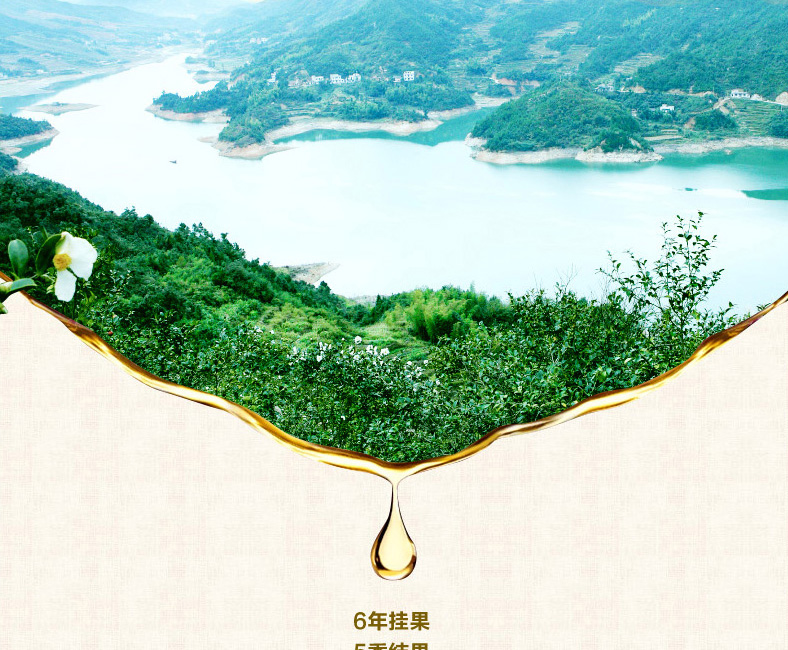 壓榨一級(jí)山茶油1.45L*2禮盒