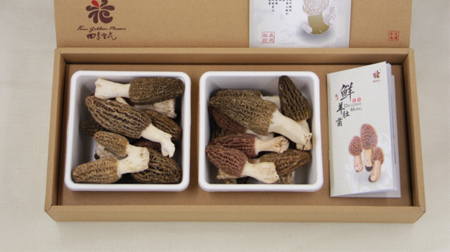 羊肚菌/干貨 食用菌、藥用菌